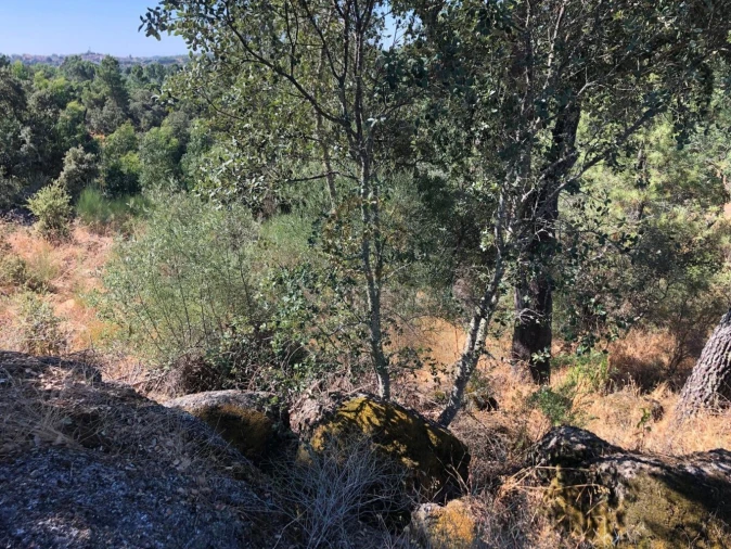 Terreno para Venda em Tinalhas Foto 5