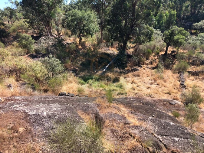 Terreno para Venda em Tinalhas Foto 6