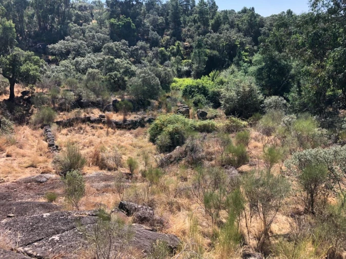 Terreno para Venda em Tinalhas Foto 7