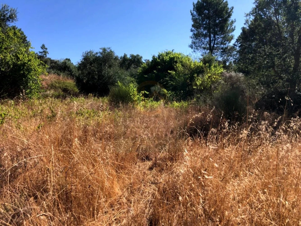 Terreno para Venda em Tinalhas Foto 2