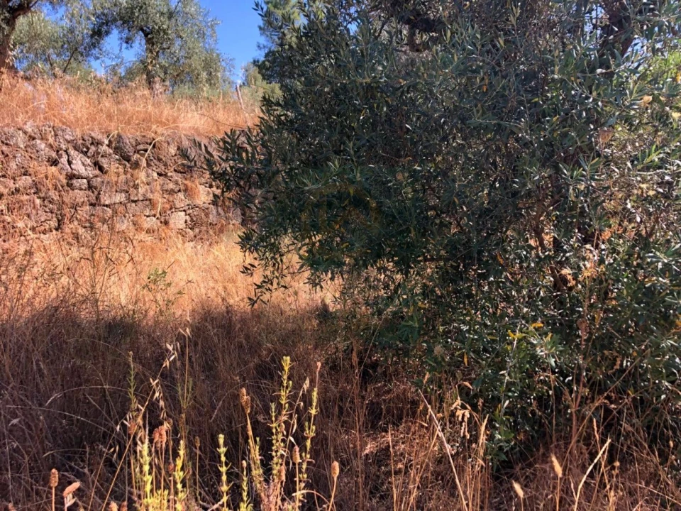 Terreno para Venda em Tinalhas Foto 8