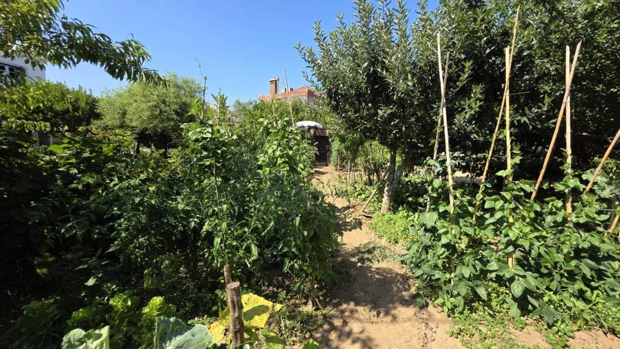 Moradia T7 para Venda em Serra e Junceira Foto 53