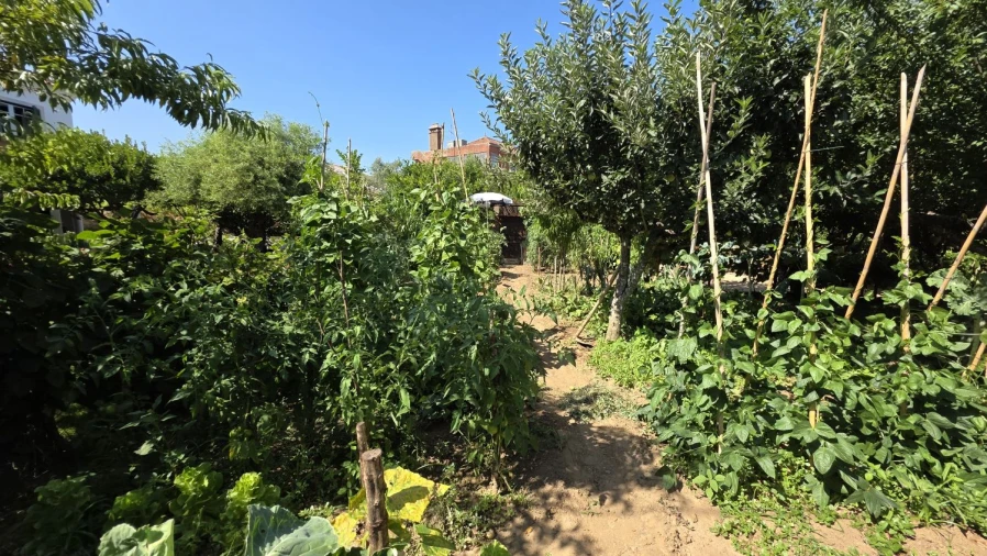 Moradia T7 para Venda em Serra e Junceira Foto 53