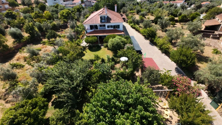 Moradia T7 para Venda em Serra e Junceira Foto 57