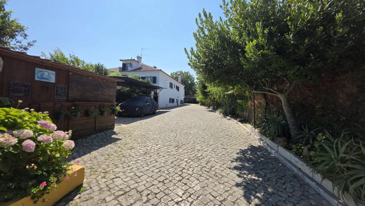 Moradia T7 para Venda em Serra e Junceira Foto 7