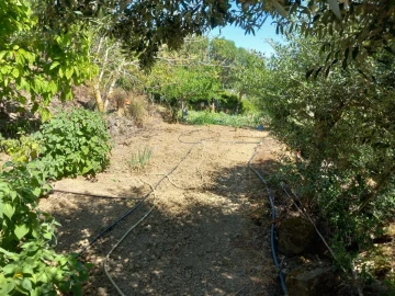 Terreno para Venda em Alhandra, São João dos Montes e Calhandriz
