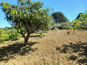 Terreno para Venda em Alhandra, São João dos Montes e Calhandriz