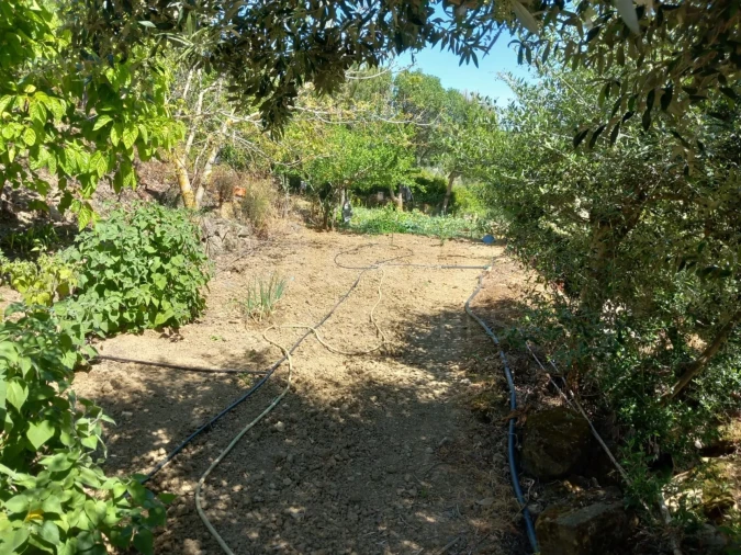 Terreno para Venda em Alhandra, São João dos Montes e Calhandriz Foto 9