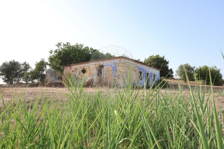 Moradia T3 para Venda em Abitureiras Foto 2