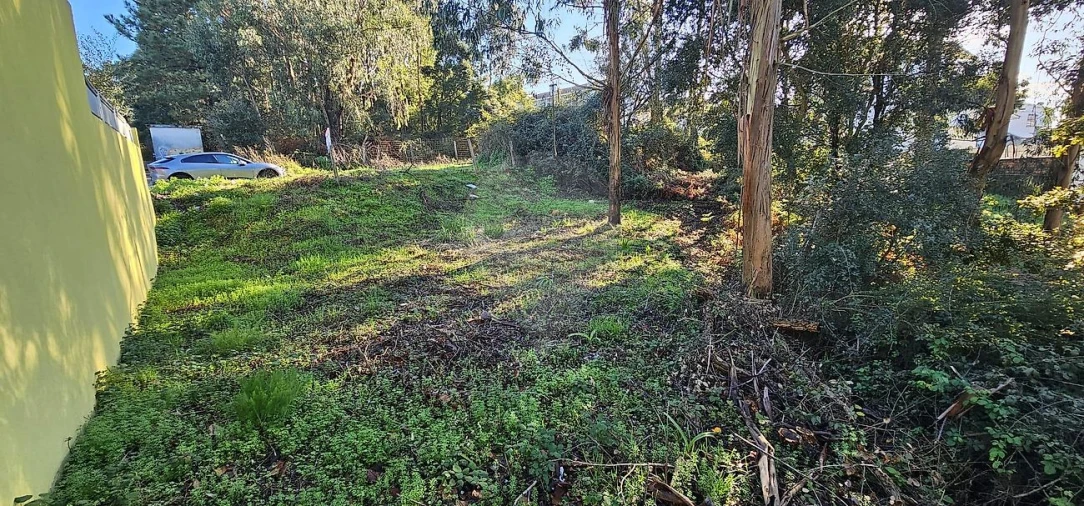 Terreno para Venda em Rio Tinto Foto 2