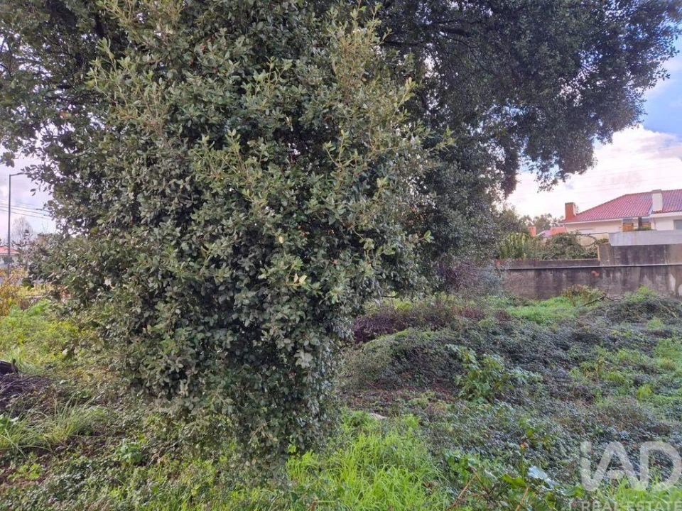 Terreno para Venda em Serzedo e Perosinho Foto 5