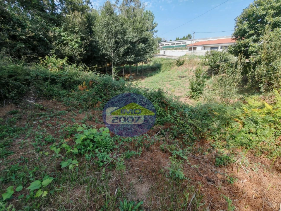 Terreno Agricola ou Rústico para Venda em Escapães Foto 9
