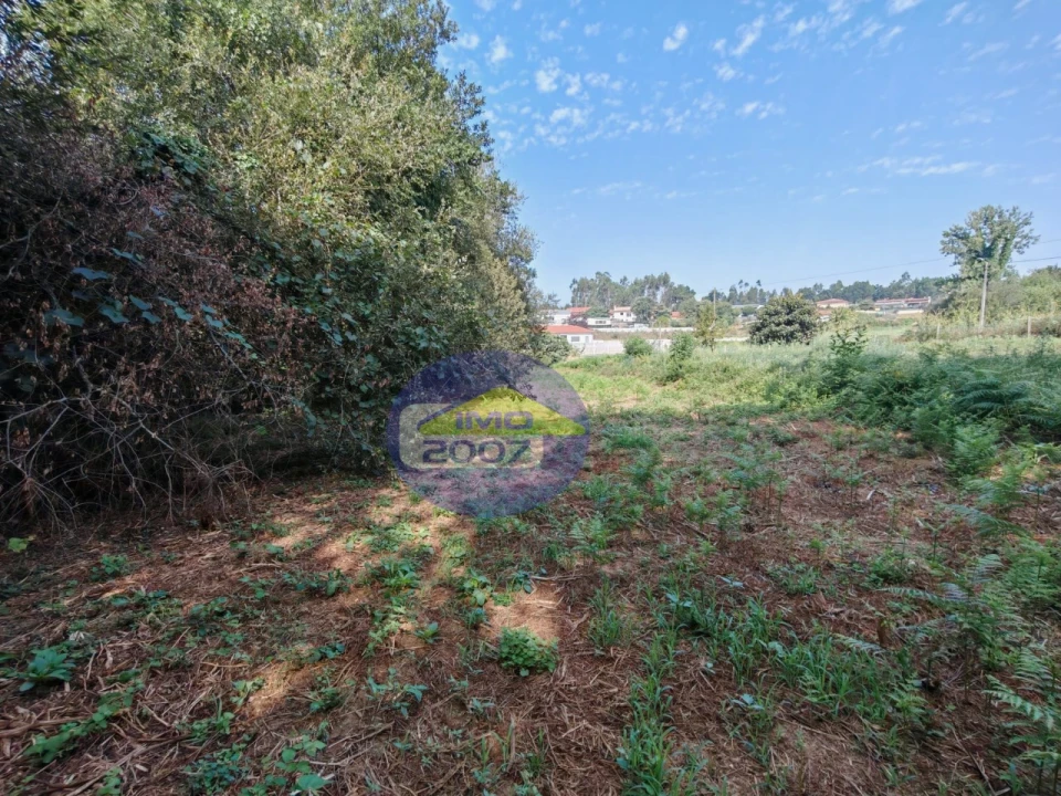 Terreno Agricola ou Rústico para Venda em Escapães Foto 12