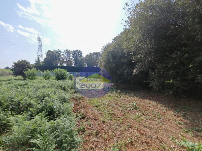 Terreno Agricola ou Rústico para Venda em Escapães Foto 6