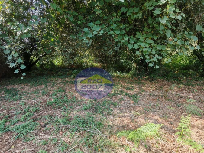 Terreno Agricola ou Rústico para Venda em Escapães Foto 11