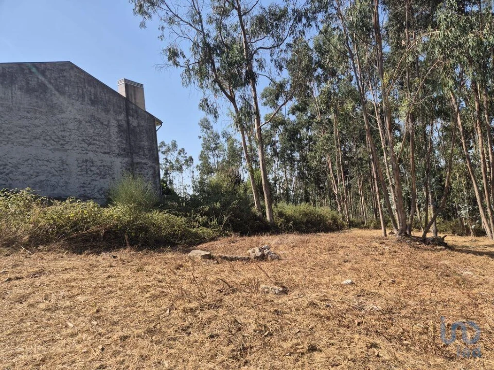 Terreno para Venda em Pedroso e Seixezelo Foto 11