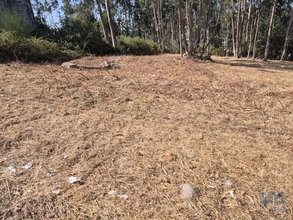 Terreno para Venda em Pedroso e Seixezelo Foto 5