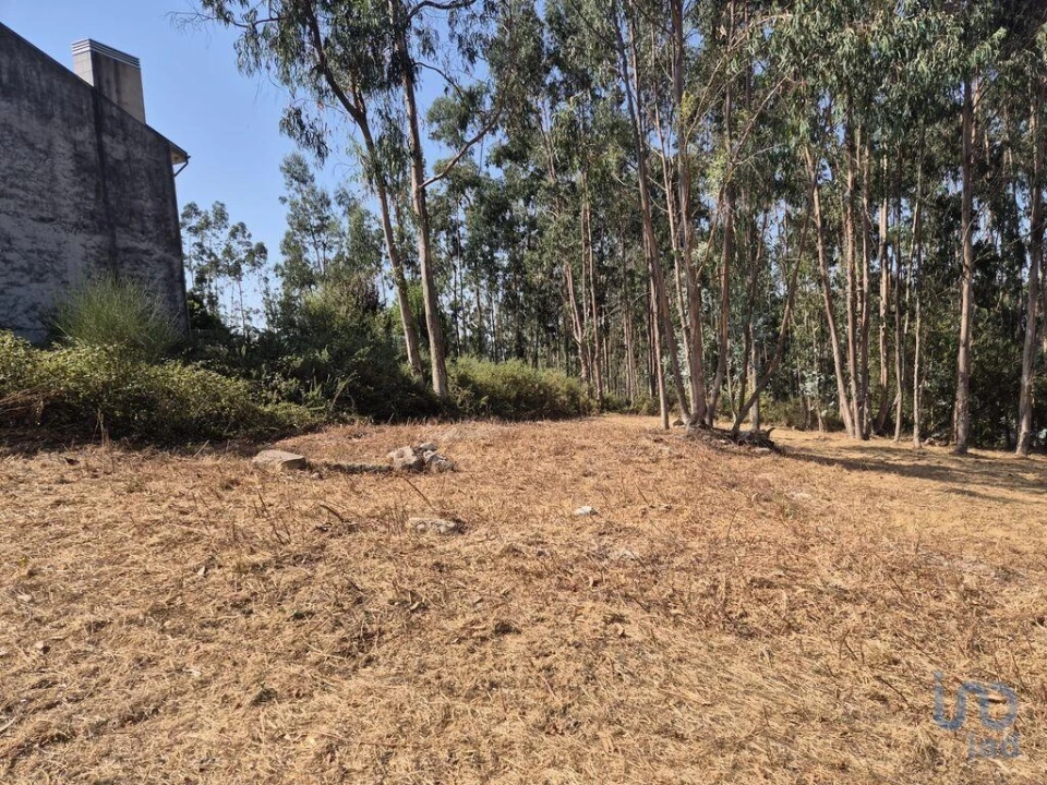Terreno para Venda em Pedroso e Seixezelo Foto 7