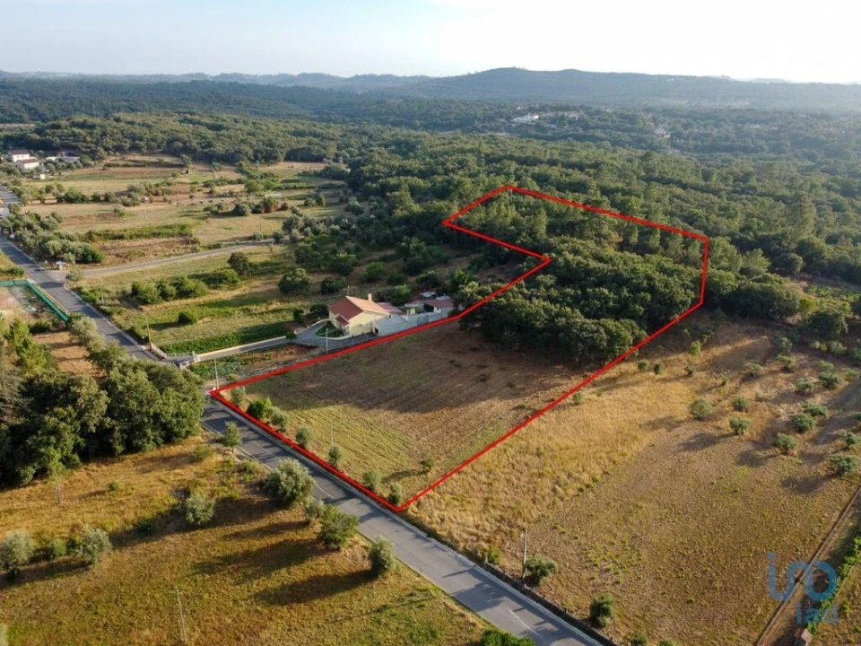 Terreno para Venda em Nossa Senhora do Pranto Foto 4