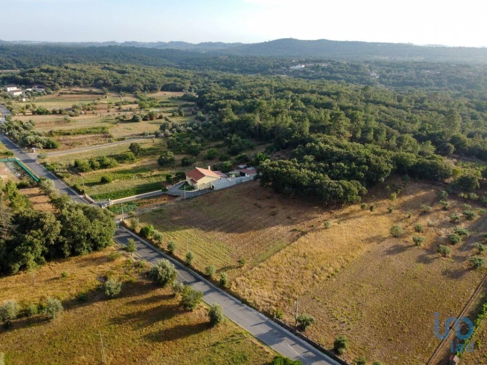 Terreno para Venda em Nossa Senhora do Pranto Foto 5