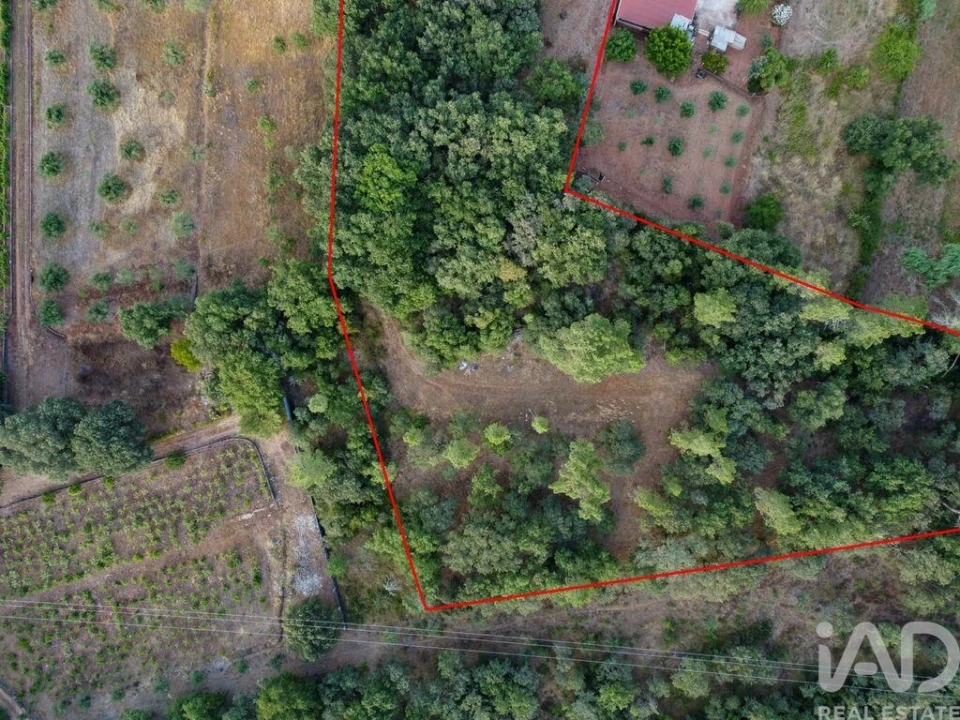 Terreno para Venda em Nossa Senhora do Pranto Foto 27