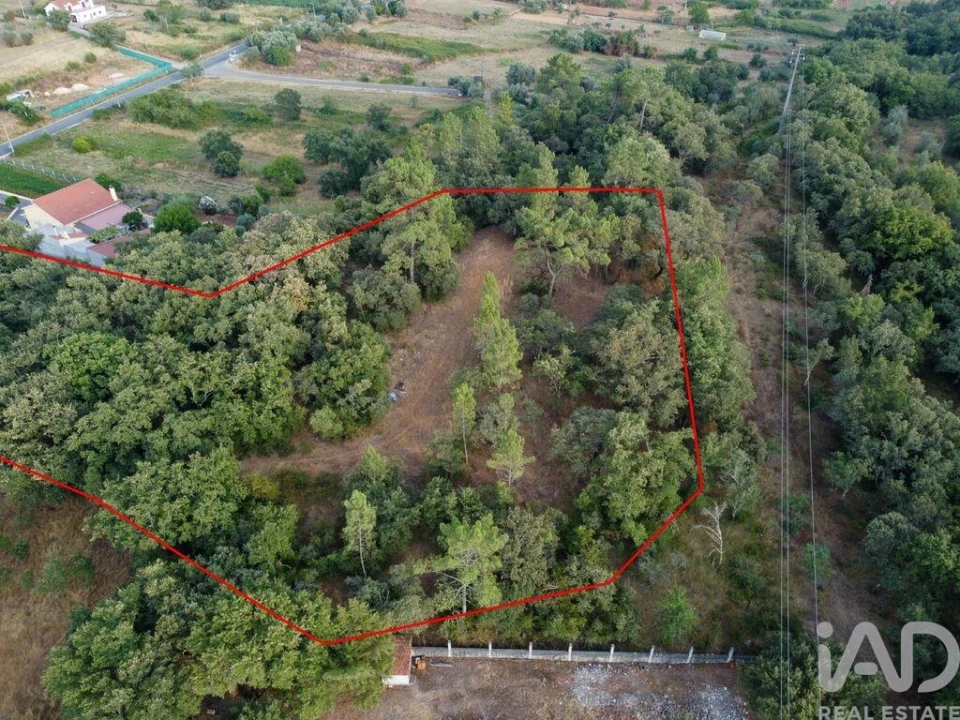 Terreno para Venda em Nossa Senhora do Pranto Foto 21