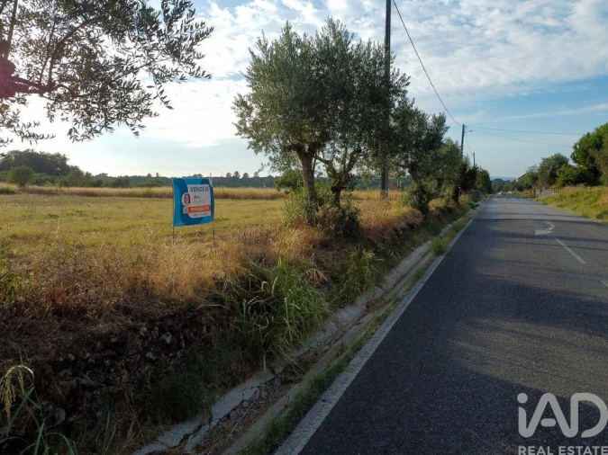 Terreno para Venda em Nossa Senhora do Pranto Foto 20