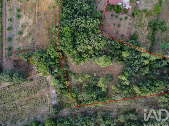 Terreno para Venda em Nossa Senhora do Pranto Foto 27