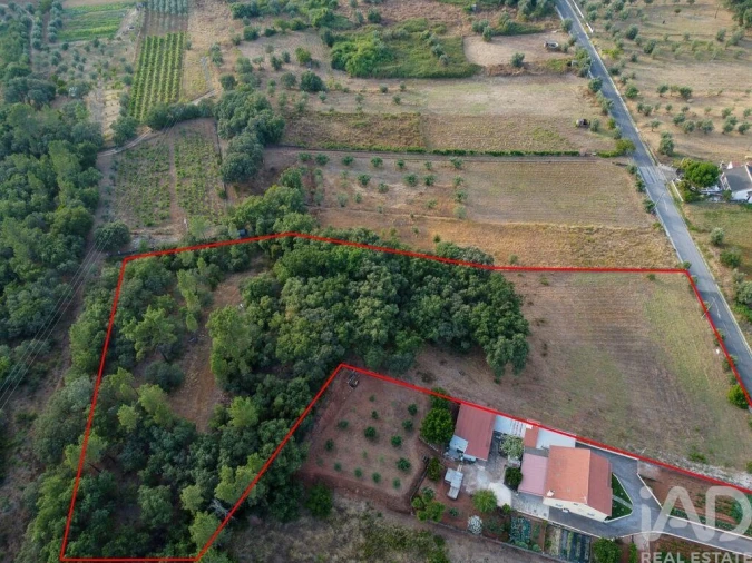 Terreno para Venda em Nossa Senhora do Pranto Foto 26