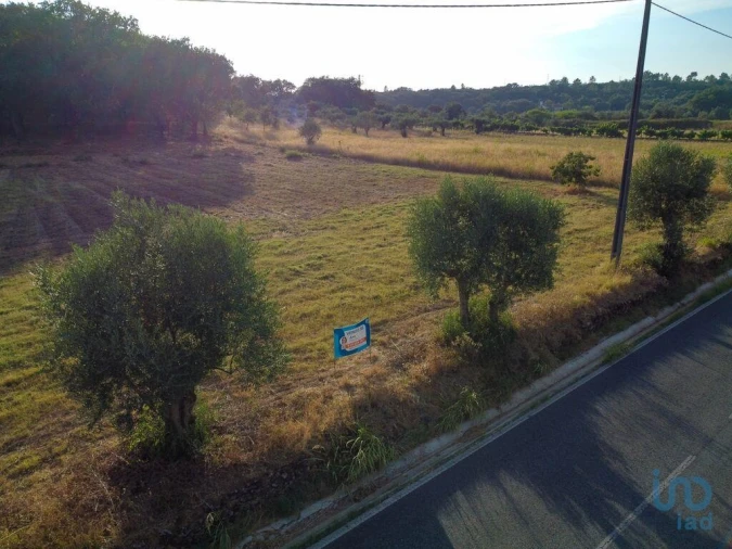 Terreno para Venda em Nossa Senhora do Pranto Foto 2