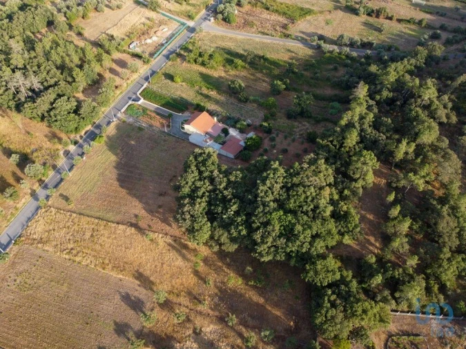 Terreno para Venda em Nossa Senhora do Pranto Foto 9