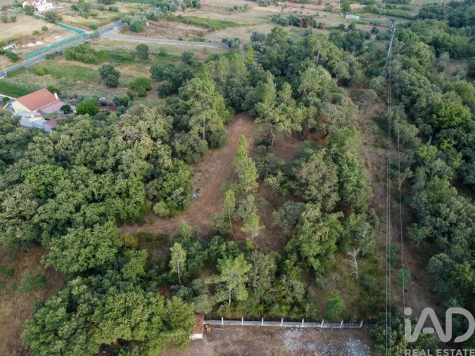 Terreno para Venda em Nossa Senhora do Pranto Foto 22