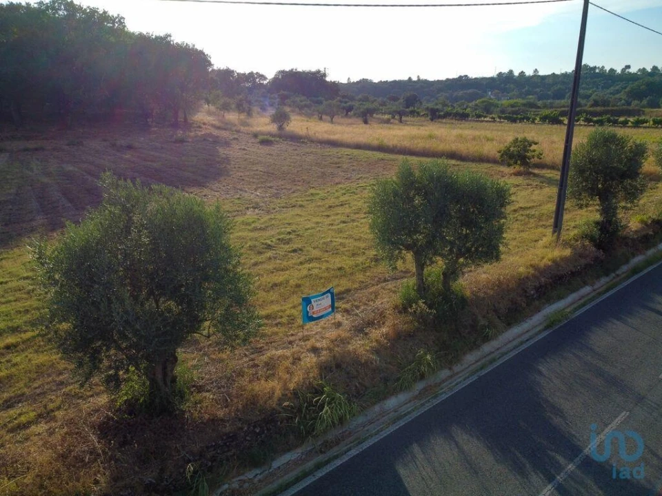 Terreno para Venda em Nossa Senhora do Pranto Foto 2
