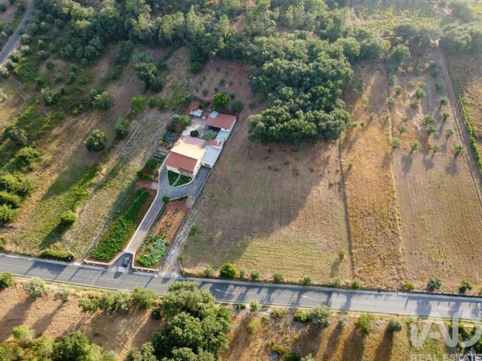 Terreno para Venda em Nossa Senhora do Pranto Foto 15