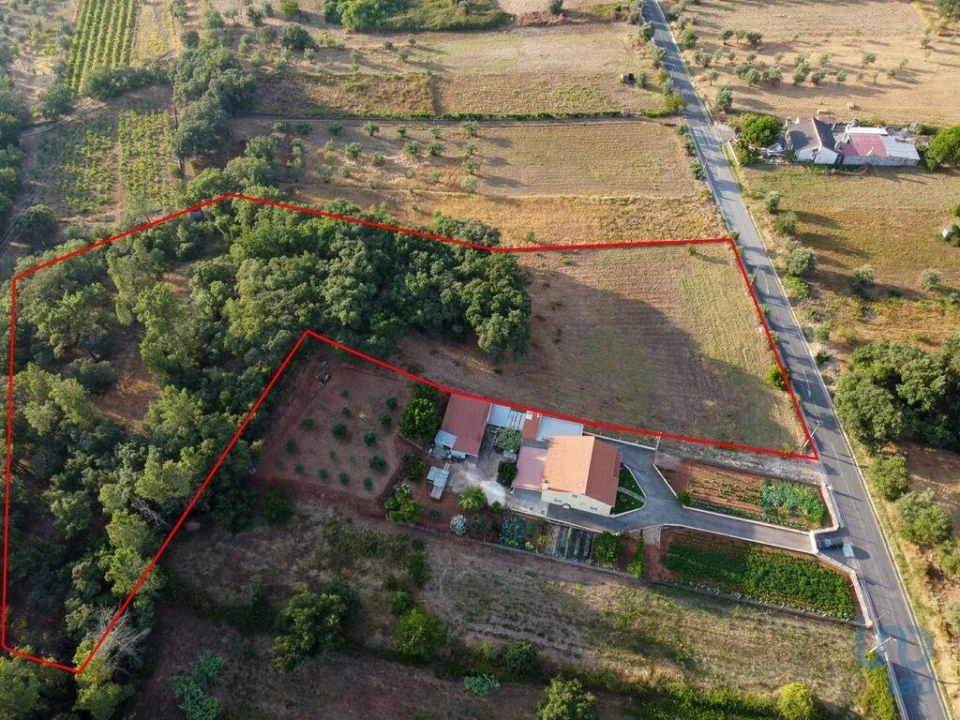 Terreno para Venda em Nossa Senhora do Pranto Foto 10