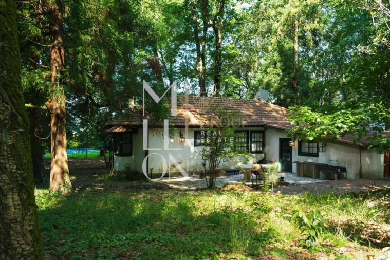 Moradia T4 para Venda em Lemenhe, Mouquim e Jesufrei Foto 10