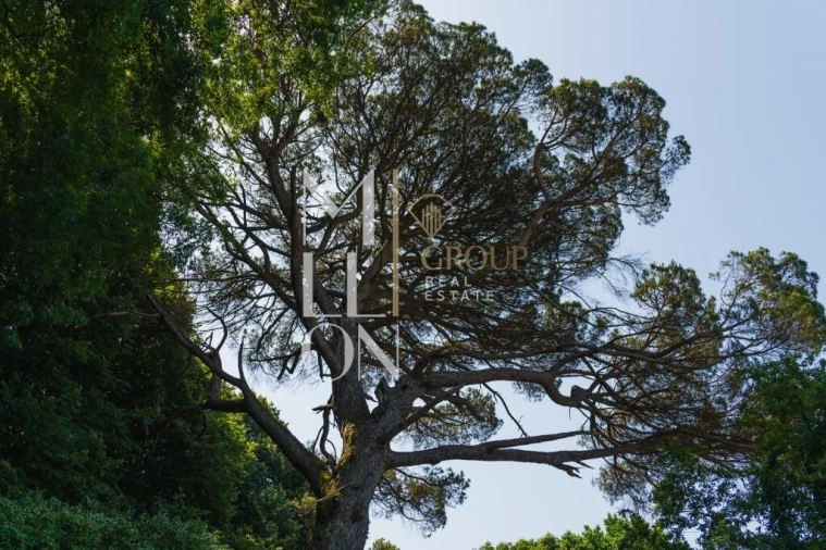 Moradia T4 para Venda em Lemenhe, Mouquim e Jesufrei Foto 9