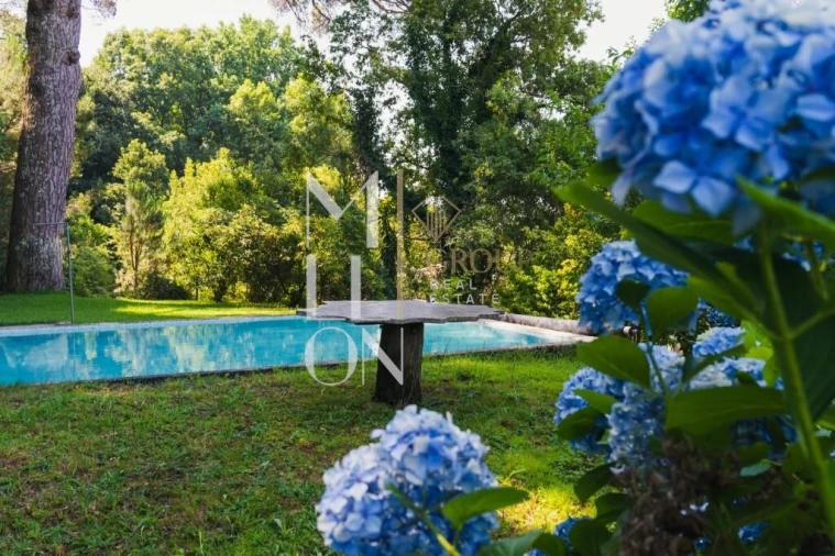 Moradia T4 para Venda em Lemenhe, Mouquim e Jesufrei Foto 8