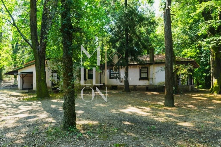 Moradia T4 para Venda em Lemenhe, Mouquim e Jesufrei Foto 19