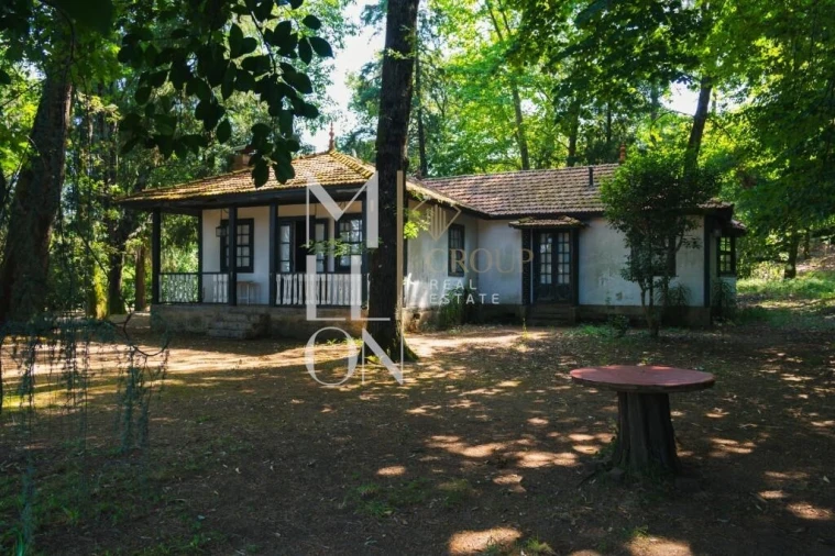 Moradia T4 para Venda em Lemenhe, Mouquim e Jesufrei Foto 3