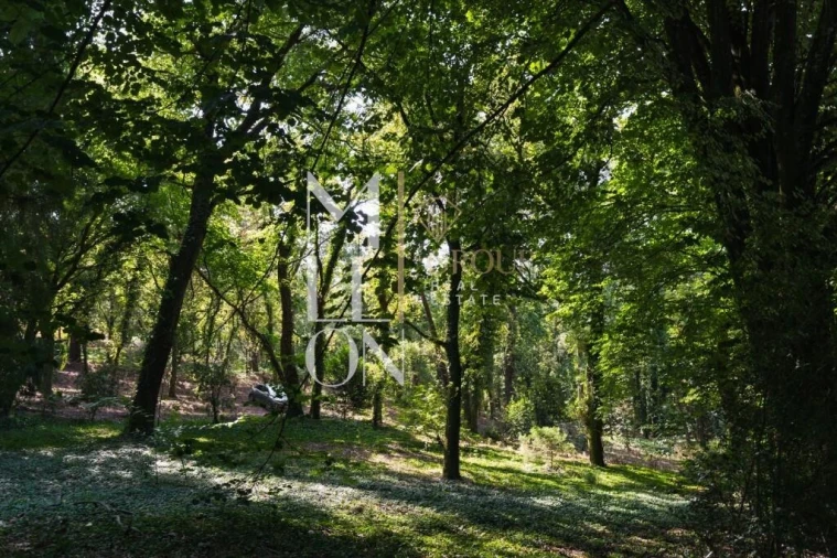 Moradia T4 para Venda em Lemenhe, Mouquim e Jesufrei Foto 25