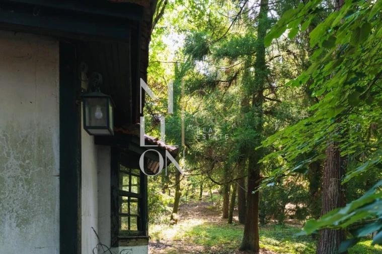 Moradia T4 para Venda em Lemenhe, Mouquim e Jesufrei Foto 11