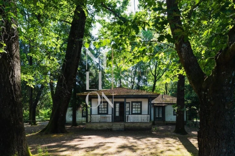 Moradia T4 para Venda em Lemenhe, Mouquim e Jesufrei Foto 2