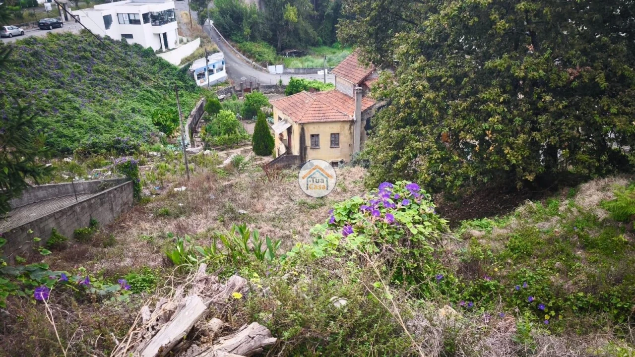 Terreno para Venda em Oliveira do Douro Foto 9