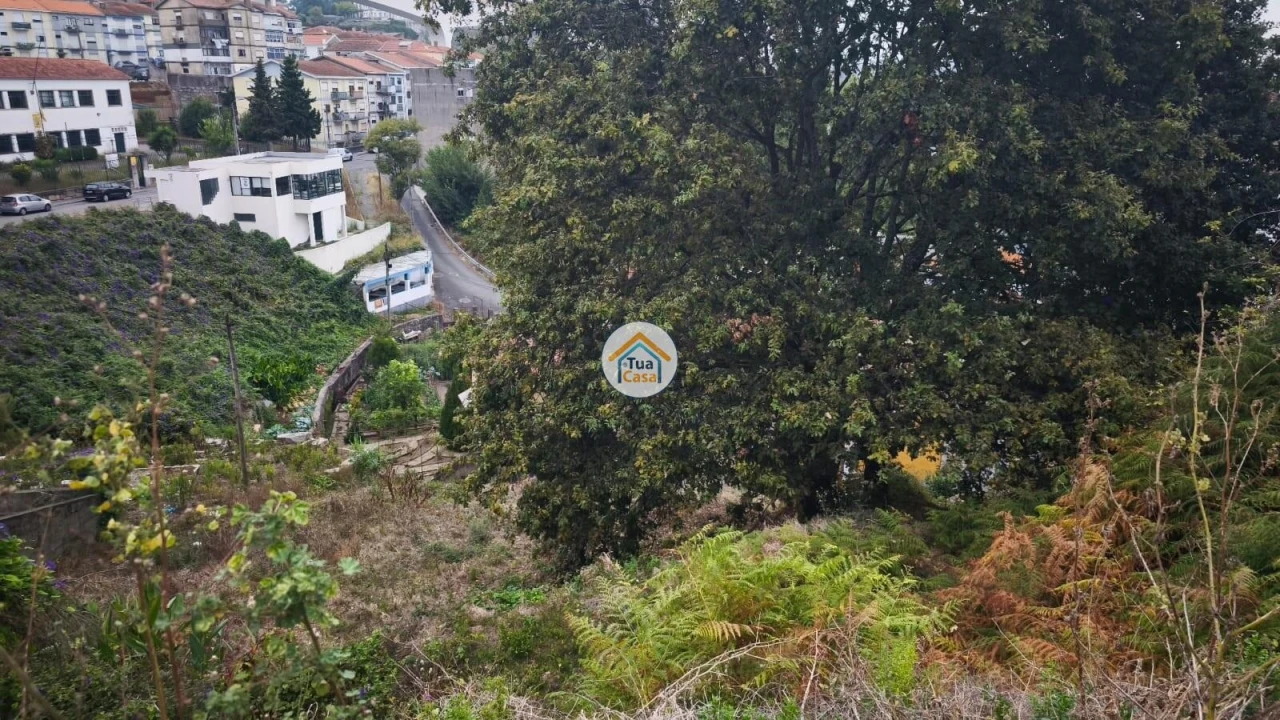 Terreno para Venda em Oliveira do Douro Foto 7