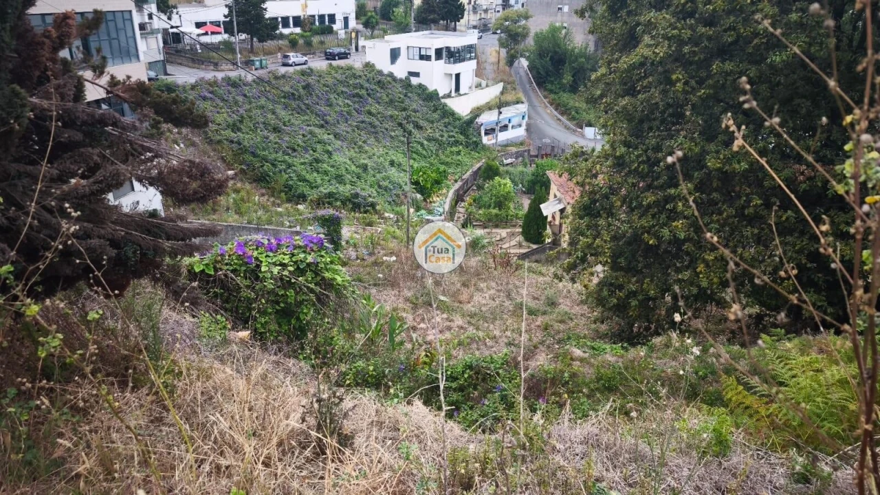 Terreno para Venda em Oliveira do Douro Foto 8