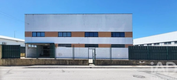 Armazém para Venda em Oiã