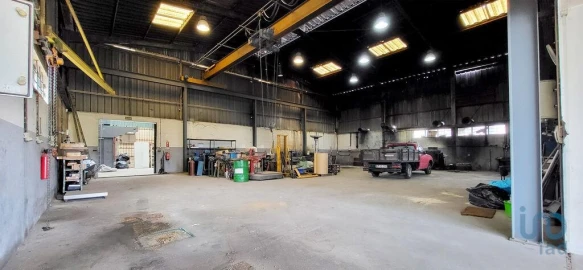 Armazém para Venda em Oiã