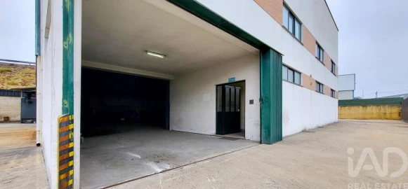 Armazém para Venda em Oiã