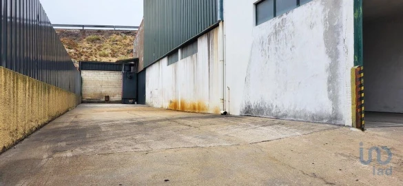 Armazém para Venda em Oiã